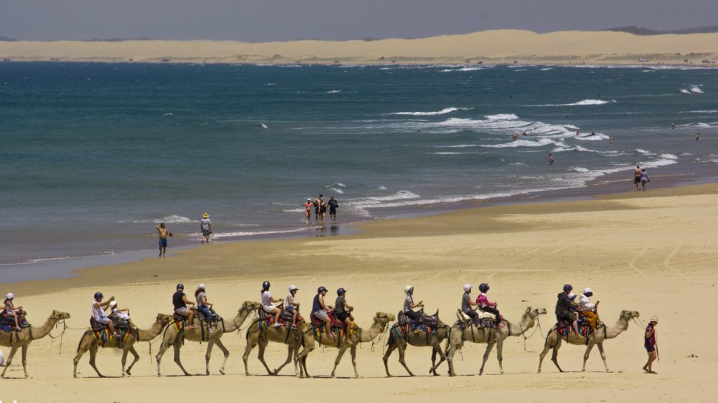 The long Anna Bay sand dunes with tourists taking a camel ride.