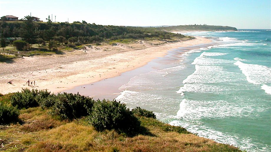 The Caves Beach coastline, where golden sand meets lush shrubs along the shoreline.