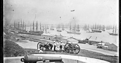 Newcastle Harbour from Fort Scratchley, Newcastle. The gun in foreground appears to be an RML 80 pounder, November 1890.